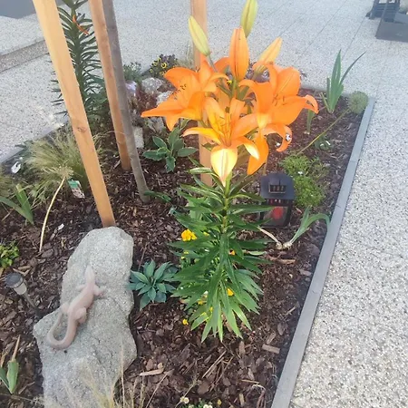 U Nas Na Morave Apartament